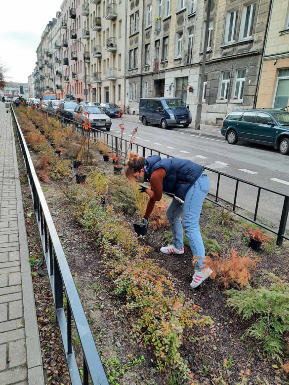 Tak zmienia się Praga-Północ