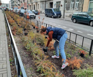 Tak zmienia się Praga-Północ