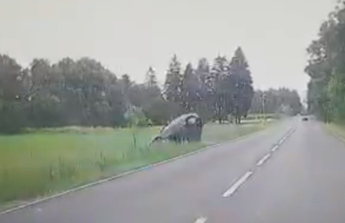 Niesłychany wypadek na trasie Mława-Ciechanów! Zachowanie pijanego kierowcy audi uchwyciła kamera [ZDJĘCIA].
