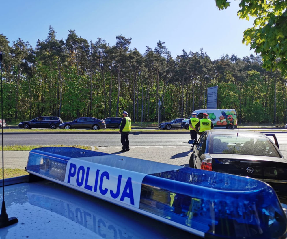 policja