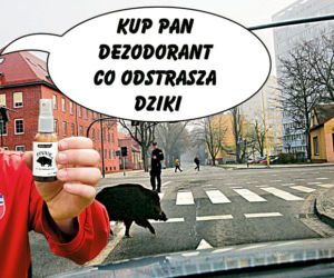 Dezodorant na dziki