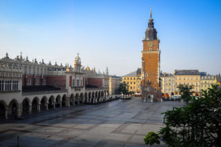 Na Rynku Głównym pojawią się nowe drzewa. Naukowcy z Politechniki Krakowskiej zaangażowani do projektu