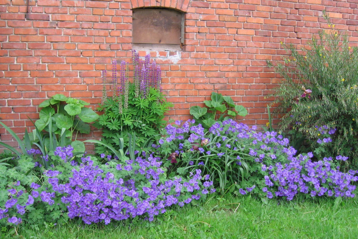 Rabata bylinowa