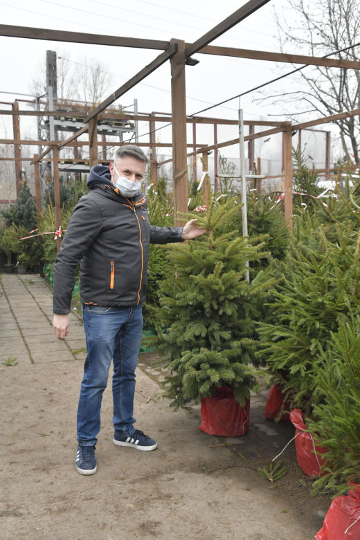  Gdzie najtaniej kupić choinkę w Warszawie? 