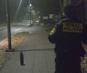 Gdańsk: Pocisk artyleryjski na chodniku! Saperzy w akcji [ZDJĘCIA]