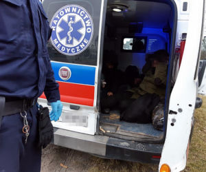 Bielsk Podlaski. Próba przemytu migrantów w karetce [ZDJĘCIA]