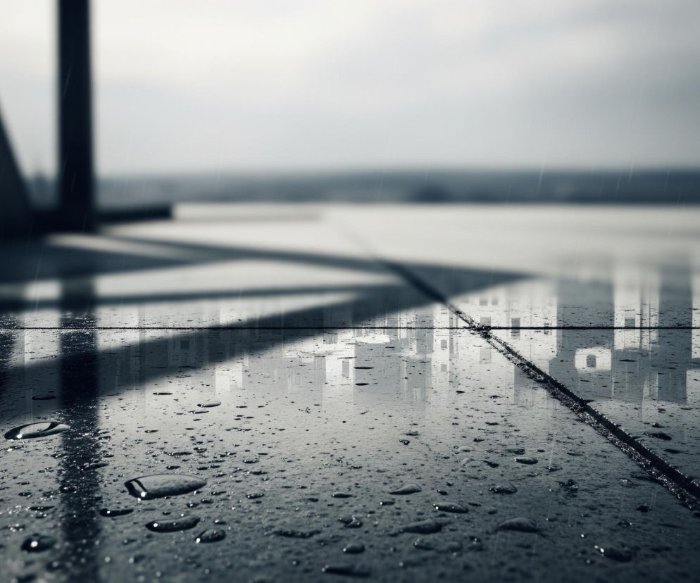 Ciemną, mokrą powierzchnię, prawdopodobnie chodnik lub posadzkę, pokrytą licznymi kroplami deszczu o różnej wielkości. Powierzchnia ta, wykonana z prostokątnych płyt z widocznymi fugami, odbija światło i rozmazane kształty odległych budynków w szaro-białych odcieniach, z licznymi detalami okien. Nad horyzontem widać jednolite, jasnoszare niebo, a z lewej strony obrazu, w górnej części, widoczna jest ciemna, rozmazana struktura architektoniczna. Cała scena jest utrzymana w monochromatycznej palecie szarości, czerni i bieli, z efektem padającego deszczu widocznym w postaci cienkich, pionowych smug.