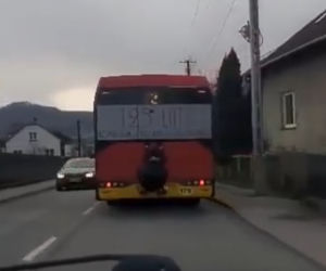 Bielsko-Biała. Jechał na zderzaku autobusu! To nagranie jest hitem [ZDJĘCIA]