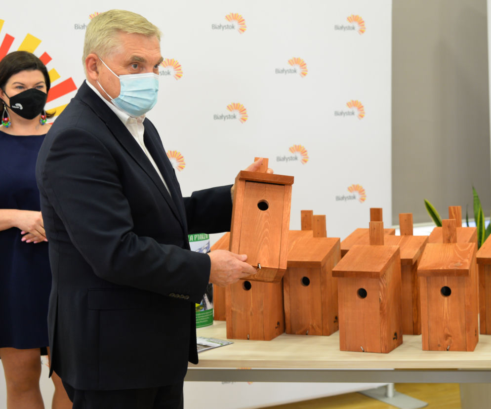 Miasto rozda 250 budek lęgowych dla ptaków. Gdzie można je odebrać?