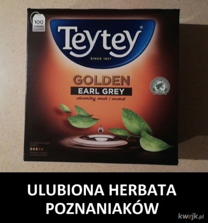 Tak internet się śmieje się z Poznania! Zobacz najlepsze MEMY!