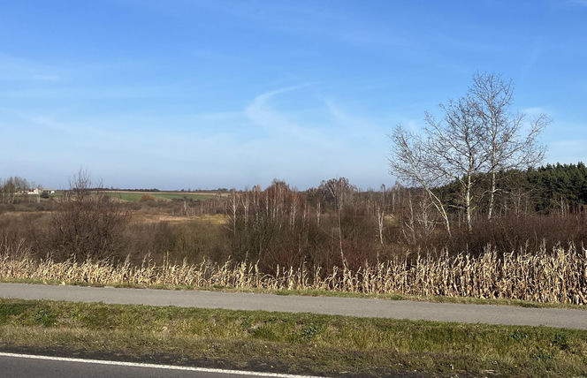 Myśliwy zastrzelił myśliwego. "Dusza człowiek". Horror pod Milejowem