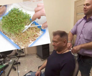 Rzeżuchy które wyglądają jak Krzysztof Rutkowski i jego legendarne fryzury