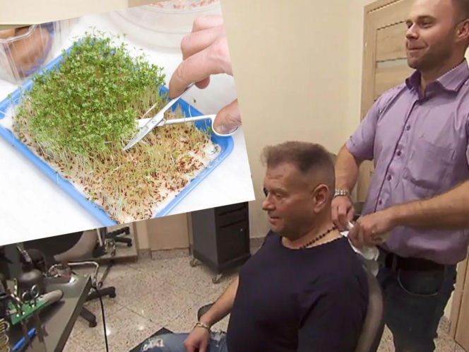 Rzeżuchy które wyglądają jak Krzysztof Rutkowski i jego legendarne fryzury