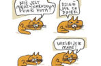 Mruczysz ze śmiechu? Najlepsze memy na Dzień Kota