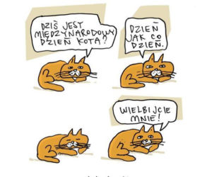 Mruczysz ze śmiechu? Najlepsze memy na Dzień Kota
