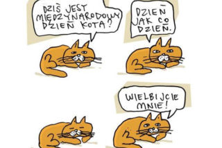 Mruczysz ze śmiechu? Najlepsze memy na Dzień Kota