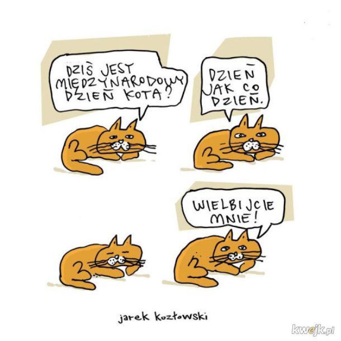 Mruczysz ze śmiechu? Najlepsze memy na Dzień Kota