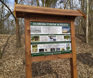 Siedlczanie szukali pierwszych śladów wiosny wraz z leśnikami z Nadleśnictwa Siedlce