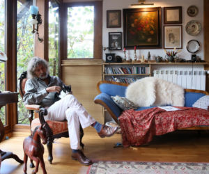 Koty Jarka nas terroryzują