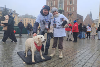 34. finał WOŚP w Krakowie. Golden Retrievery na Rynku Głównym