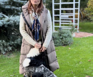 Dowbor walczy o Stefana