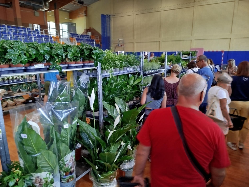 Festiwal Roślin 2025 w Siedlcach