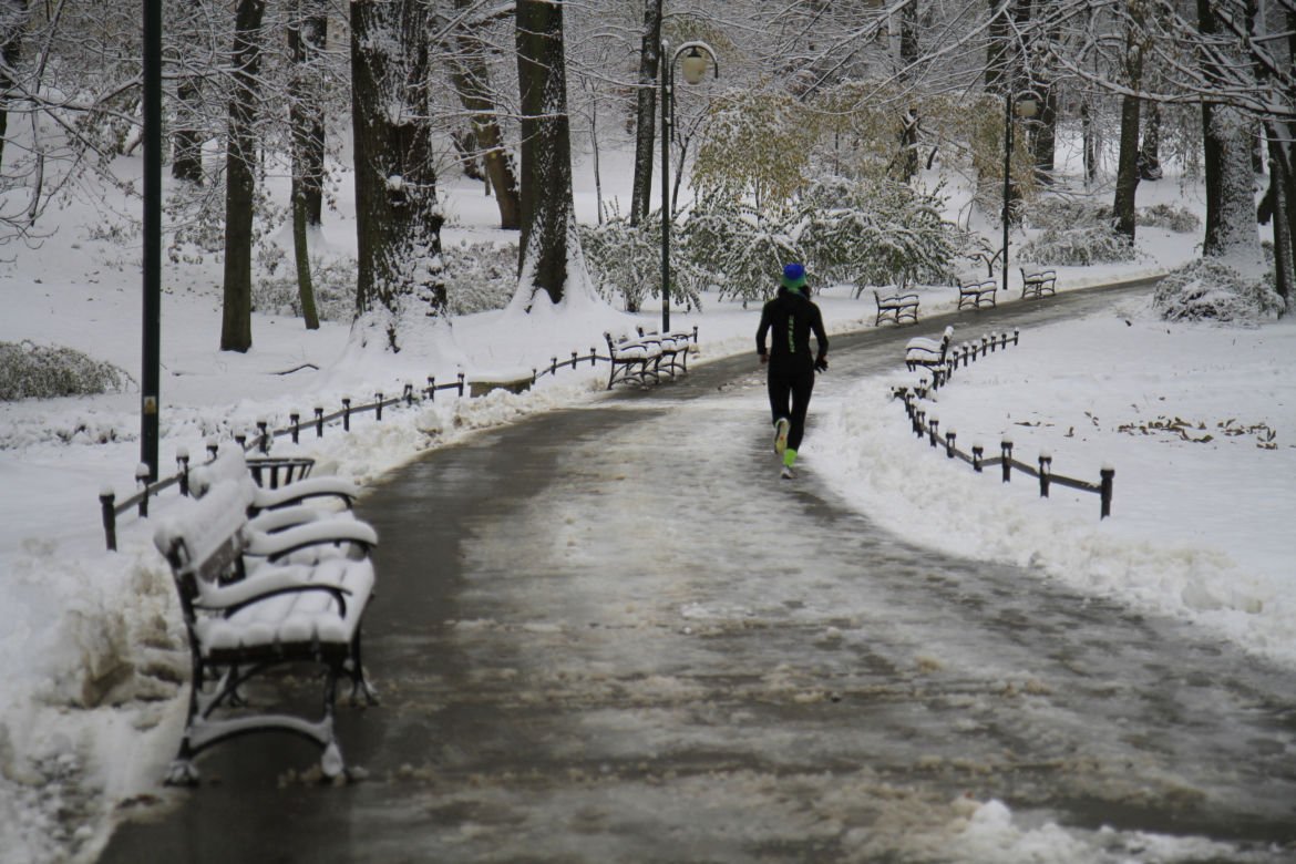 Pierwszy śnieg w Ogrodzie Saskim w Lublinie w tym sezonie!