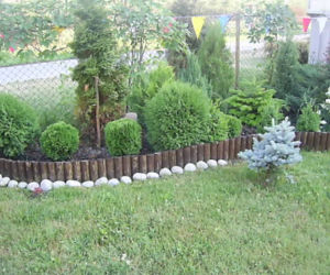 Zdjęcie 2853