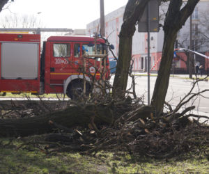 Niszczycielska wichura w Bydgoszczy [ZDJĘCIA]
