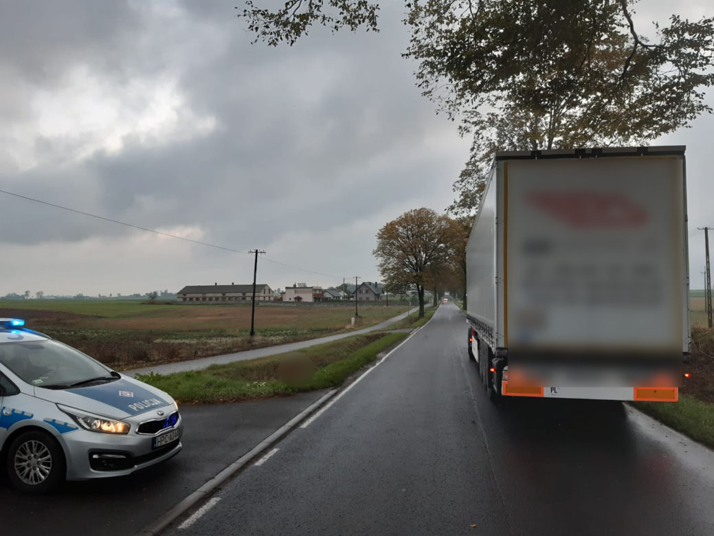 Ważny apel i ostrzeżenie policji z Torunia. Uwaga na dzikie zwierzęta!
