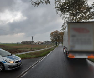 Ważny apel i ostrzeżenie policji z Torunia. Uwaga na dzikie zwierzęta!