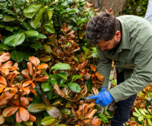 Wiosenne porządki w ogrodzie