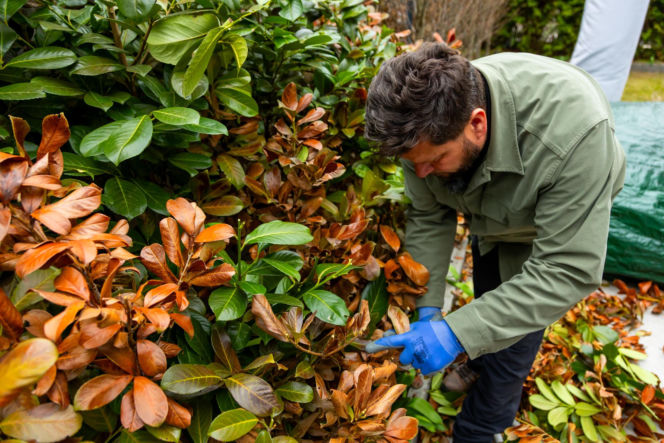 Wiosenne porządki w ogrodzie