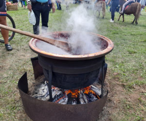 Święto Śliwki w Strzelcach Dolnych 2021