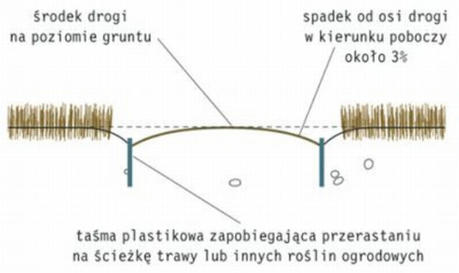 Sciezka z samej ziemi