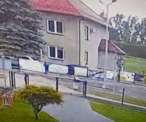 86-latek z impetem wjechał w dziecko! Pokazali wszystko na nagraniu. Włosy stają dęba