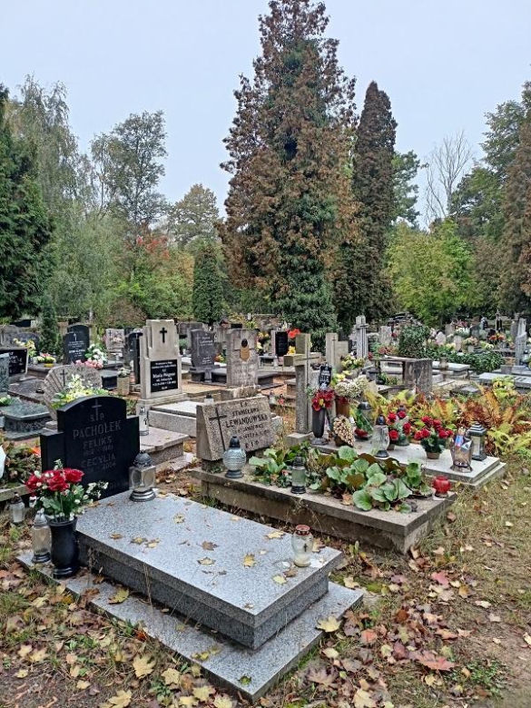 Cmentarz Junikowo Poznań