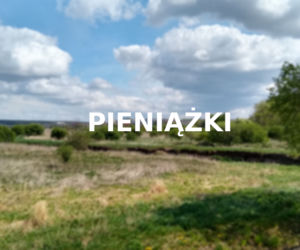 Pieniążki