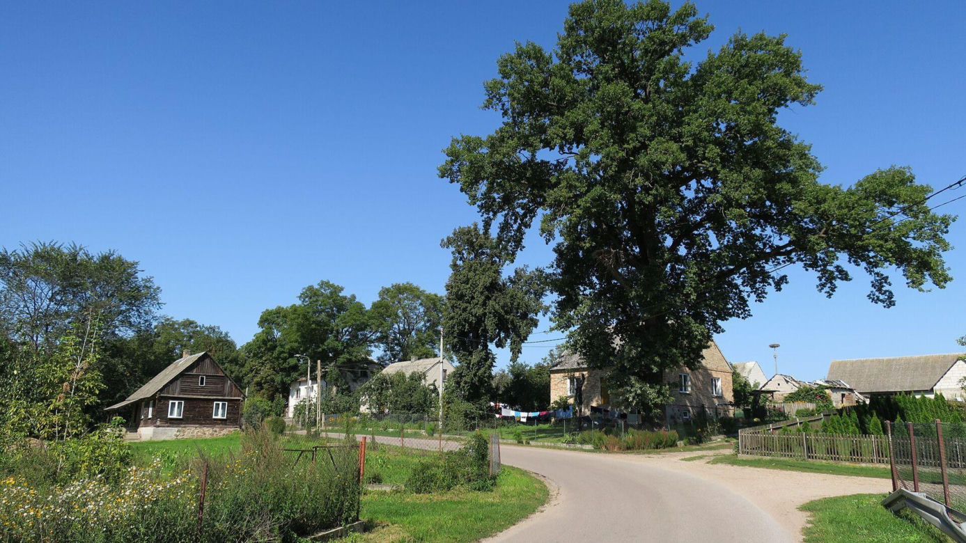 Mocarze na Podlasiu