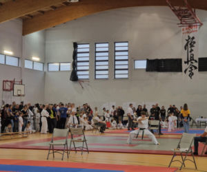 V Kyokushin Cup