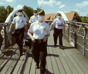 #hot16chellange2 straży miejskiej!