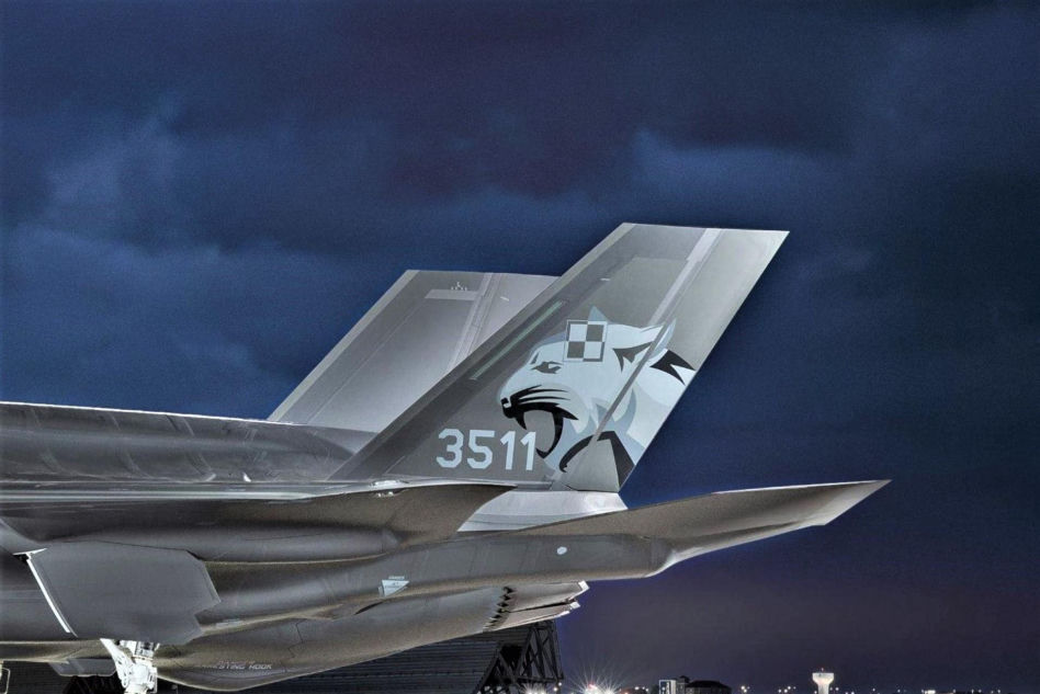 Szar-szara szachownica na polskim F-35 Husarz