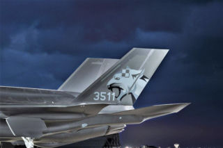 Szar-szara szachownica na polskim F-35 Husarz