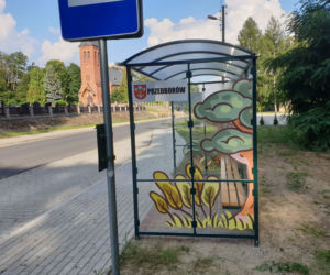 eko-graffiti