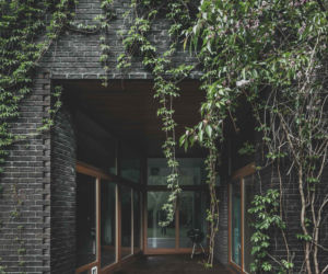 Jungle House - dom wśród drzew