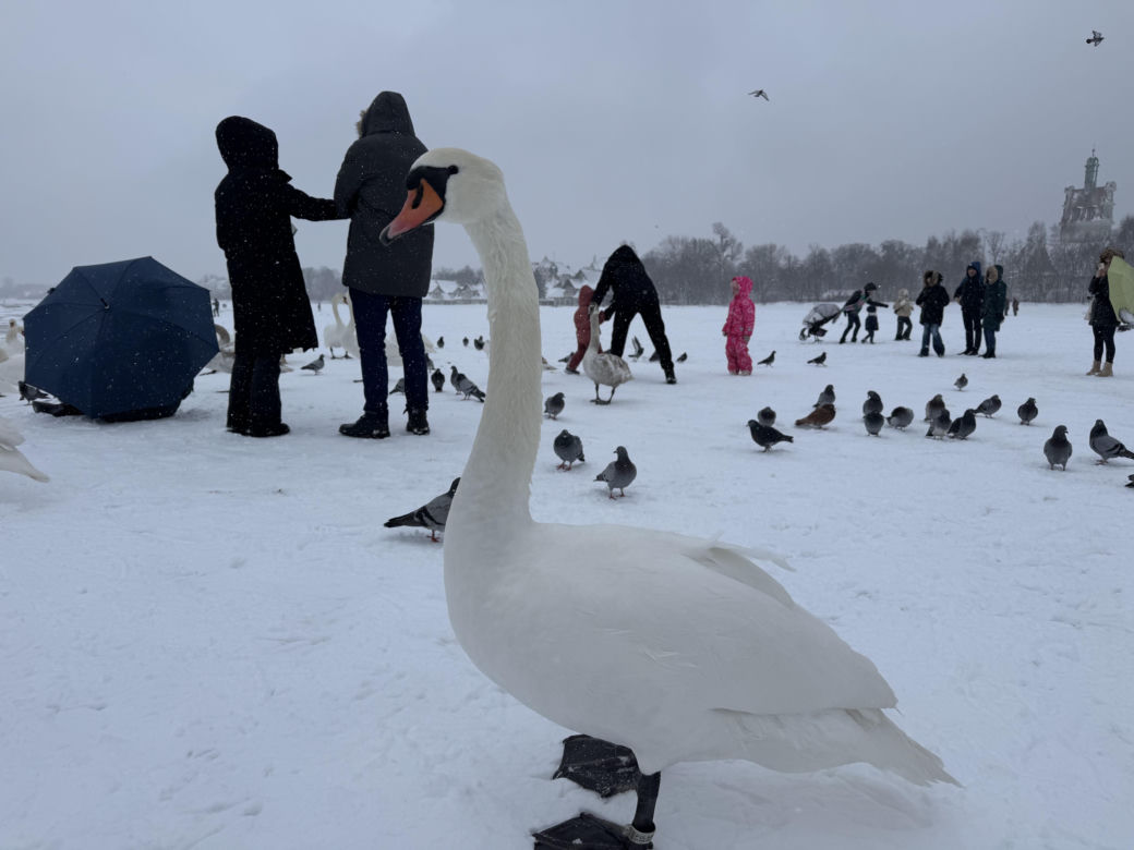 Bałtyk zimową porą, uchwycony w kadrach