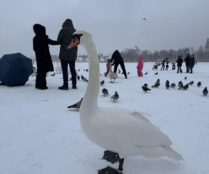Bałtyk zimową porą, uchwycony w kadrach