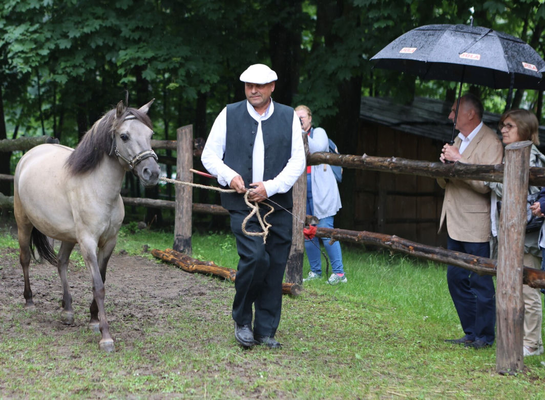 Jarmark koński w Muzeum Wsi Lubelskiej
