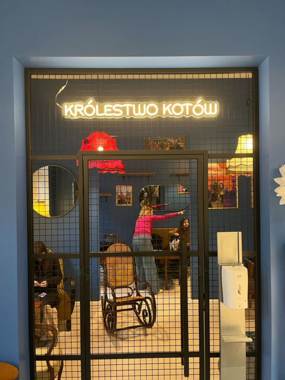 Kawiarnia Kota Gacka