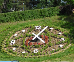 To jedno z najpiękniejszych małopolskich miast. Kiedyś było państwem, dzisiaj jest sławnym uzdrowiskiem